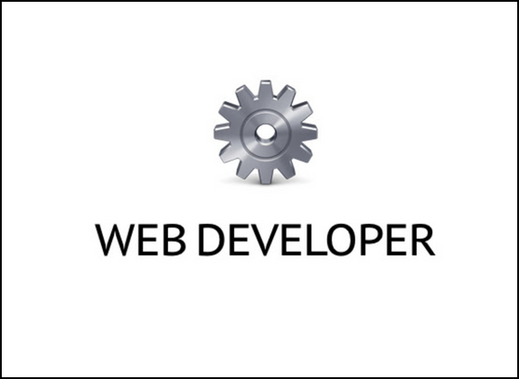 Web Developer